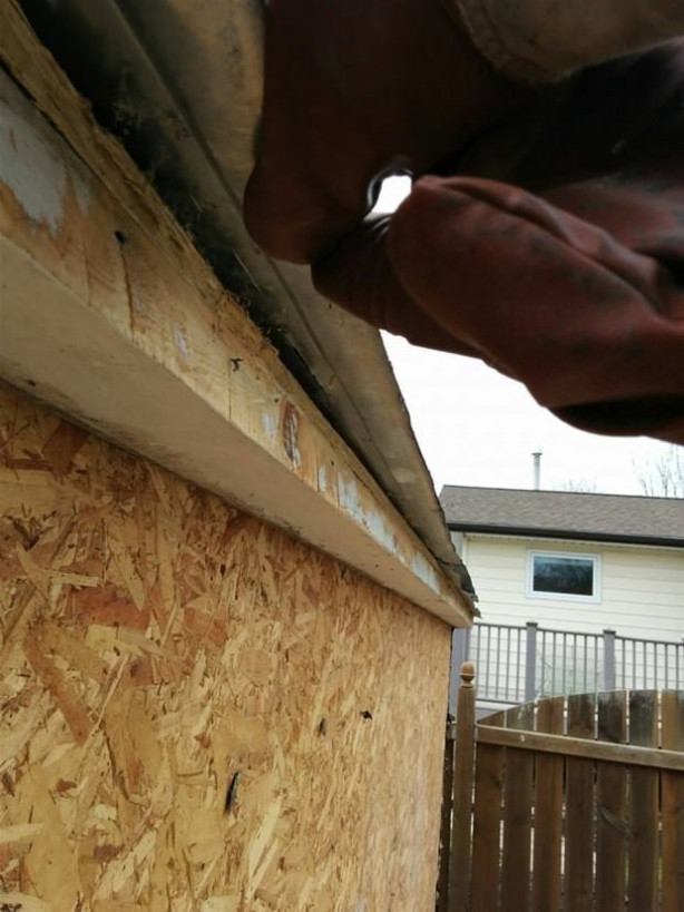 Foto - Küçük kulübenin son hali görenleri hayrete düşürüyor