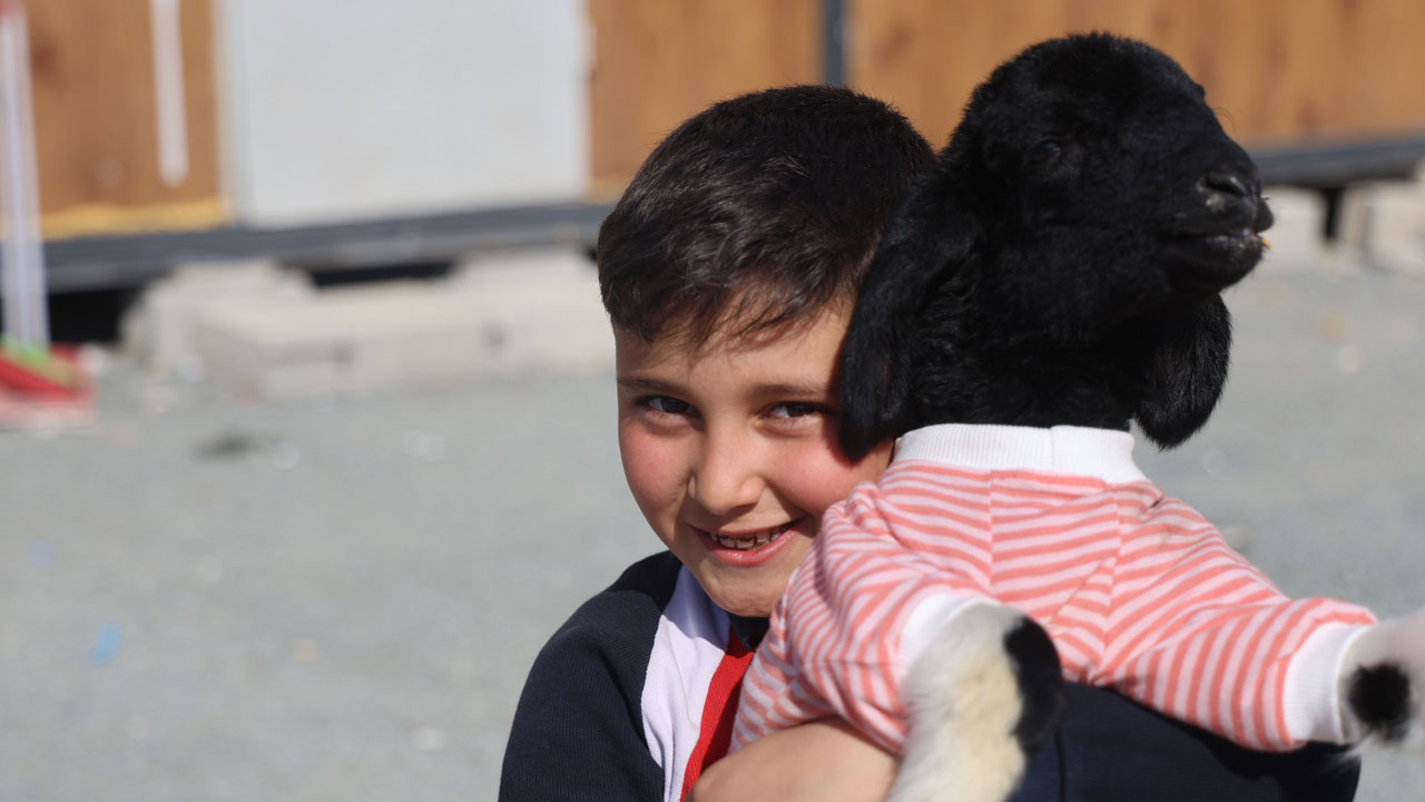 Küçük kuzunun büyük hikayesi! Boncuk’a mahalle sahip çıktı 