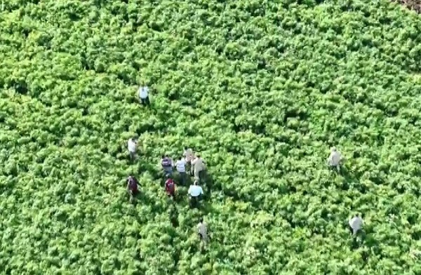 Foto - Küçük Meryem saatler sonra bulundu