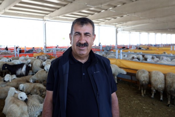 Küçükbaş kurbanlık satışının 3 milyonu geçmesi bekleniyor