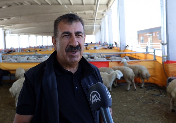 Foto - Küçükbaş kurbanlık satışının 3 milyonu geçmesi bekleniyor