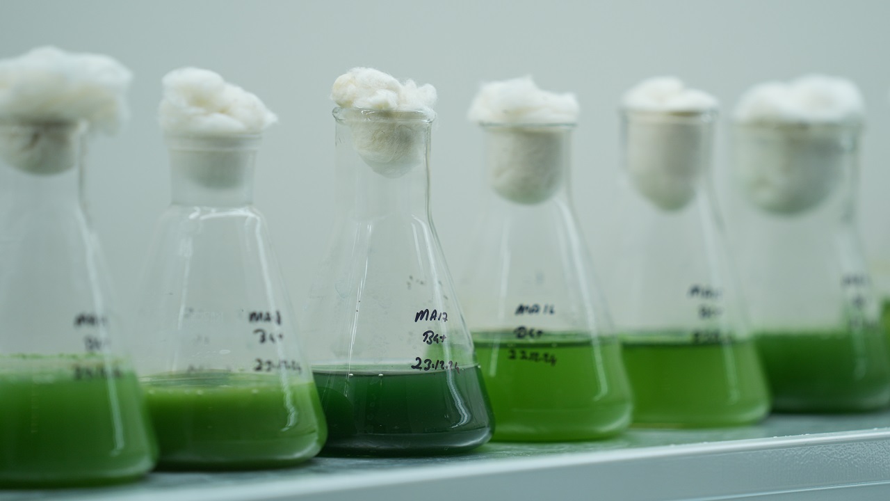 Foto - Küçükçekmece Gölü tehlike sinyalleri veriyor: Adeta şehrin içinde bir atık su deposu!