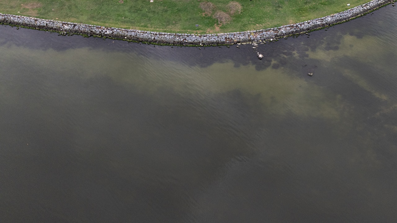 Foto - Küçükçekmece Gölü tehlike sinyalleri veriyor: Adeta şehrin içinde bir atık su deposu!