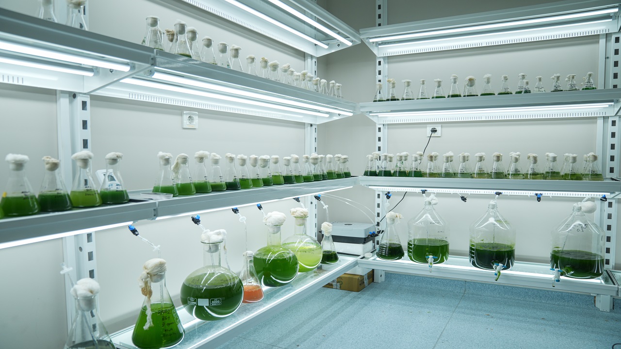 Foto - Küçükçekmece Gölü tehlike sinyalleri veriyor: Adeta şehrin içinde bir atık su deposu!