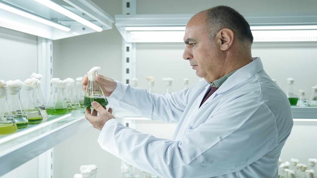 Foto - Küçükçekmece Gölü tehlike sinyalleri veriyor: Adeta şehrin içinde bir atık su deposu!