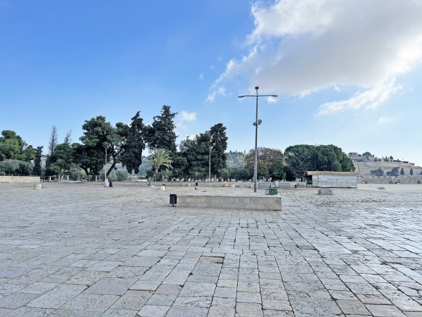 Foto - Kudüs öksüz kaldı, Mescid-İ Aksa ağlıyor