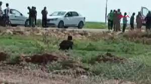 Foto - Kuduz hastalığı nedir, hayvanda - insanda kuduz belirtileri nelerdir? (Kediden) insandan insana kuduz nasıl bulaşır? Kaç günde içinde ortaya çıkar? Tedavisi var mı?