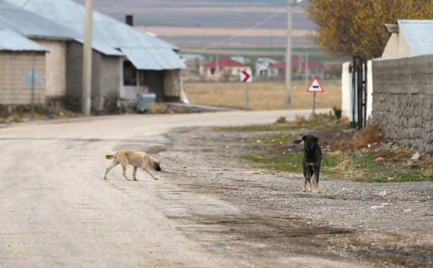 Foto - Kuduz nedeniyle ölen çocuğun arkadaşları çaresiz!
