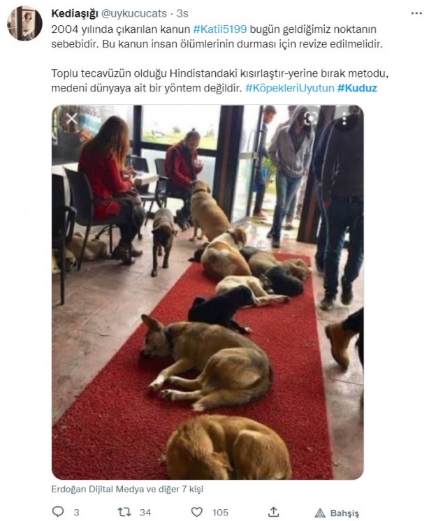 Foto - Kuduz olan küçük Mustafa, hayatını kaybetti! Sosyal medya ayağa kalktı! Hükümet, bakanlar, valilik ve belediye kamuoyundaki infiale hala sessiz!