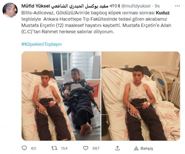 Foto - Kuduz olan küçük Mustafa, hayatını kaybetti! Sosyal medya ayağa kalktı! Hükümet, bakanlar, valilik ve belediye kamuoyundaki infiale hala sessiz!