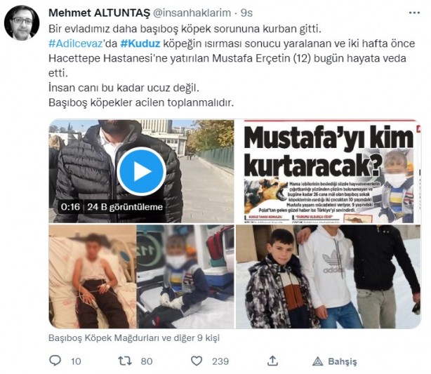 Foto - Kuduz olan küçük Mustafa, hayatını kaybetti! Sosyal medya ayağa kalktı! Hükümet, bakanlar, valilik ve belediye kamuoyundaki infiale hala sessiz!