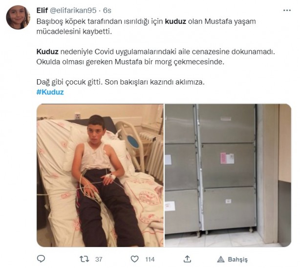Foto - Kuduz olan küçük Mustafa, hayatını kaybetti! Sosyal medya ayağa kalktı! Hükümet, bakanlar, valilik ve belediye kamuoyundaki infiale hala sessiz!
