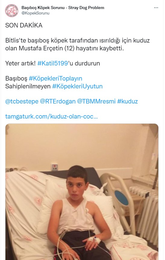 Foto - Kuduz olan küçük Mustafa, hayatını kaybetti! Sosyal medya ayağa kalktı! Hükümet, bakanlar, valilik ve belediye kamuoyundaki infiale hala sessiz!