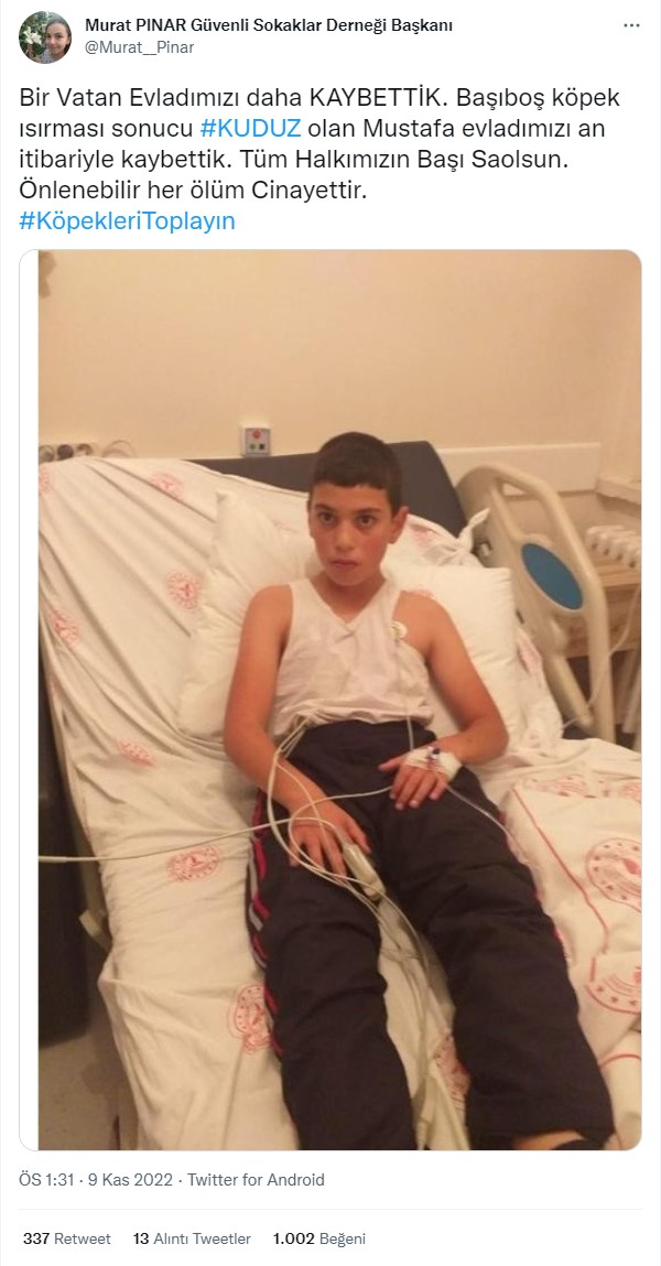 Foto - Kuduz olan küçük Mustafa, hayatını kaybetti! Sosyal medya ayağa kalktı! Hükümet, bakanlar, valilik ve belediye kamuoyundaki infiale hala sessiz!