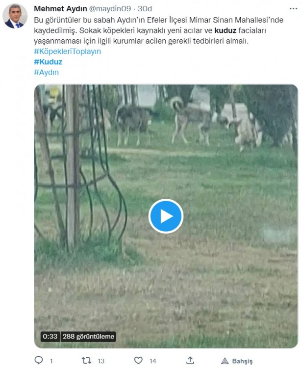 Foto - Kuduz olan küçük Mustafa, hayatını kaybetti! Sosyal medya ayağa kalktı! Hükümet, bakanlar, valilik ve belediye kamuoyundaki infiale hala sessiz!