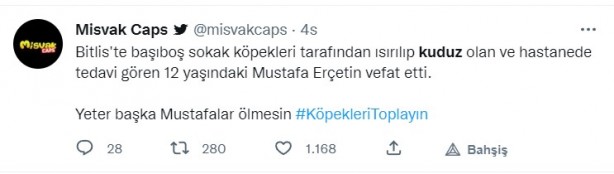 Foto - Kuduz olan küçük Mustafa, hayatını kaybetti! Sosyal medya ayağa kalktı! Hükümet, bakanlar, valilik ve belediye kamuoyundaki infiale hala sessiz!