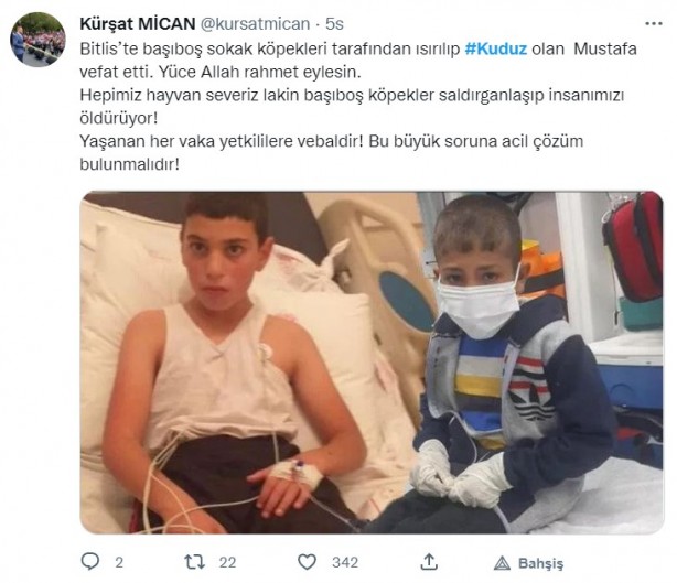 Foto - Kuduz olan küçük Mustafa, hayatını kaybetti! Sosyal medya ayağa kalktı! Hükümet, bakanlar, valilik ve belediye kamuoyundaki infiale hala sessiz!