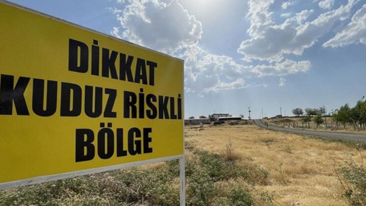 Foto - Kuduz riskli temas sayısı 479 bini aştı: Sahipsiz hayvanlar için 319 bin 70 şikayet!
