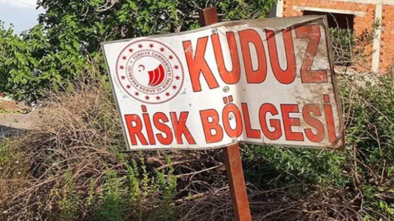 Foto - Kuduz riskli temas sayısı 479 bini aştı: Sahipsiz hayvanlar için 319 bin 70 şikayet!