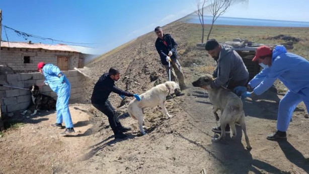 Foto - 'Kuduz' skandalının ardından vatandaşlar ayağa kalktı! Dezenformasyon yapan Cenk Eren'e sert tepki
