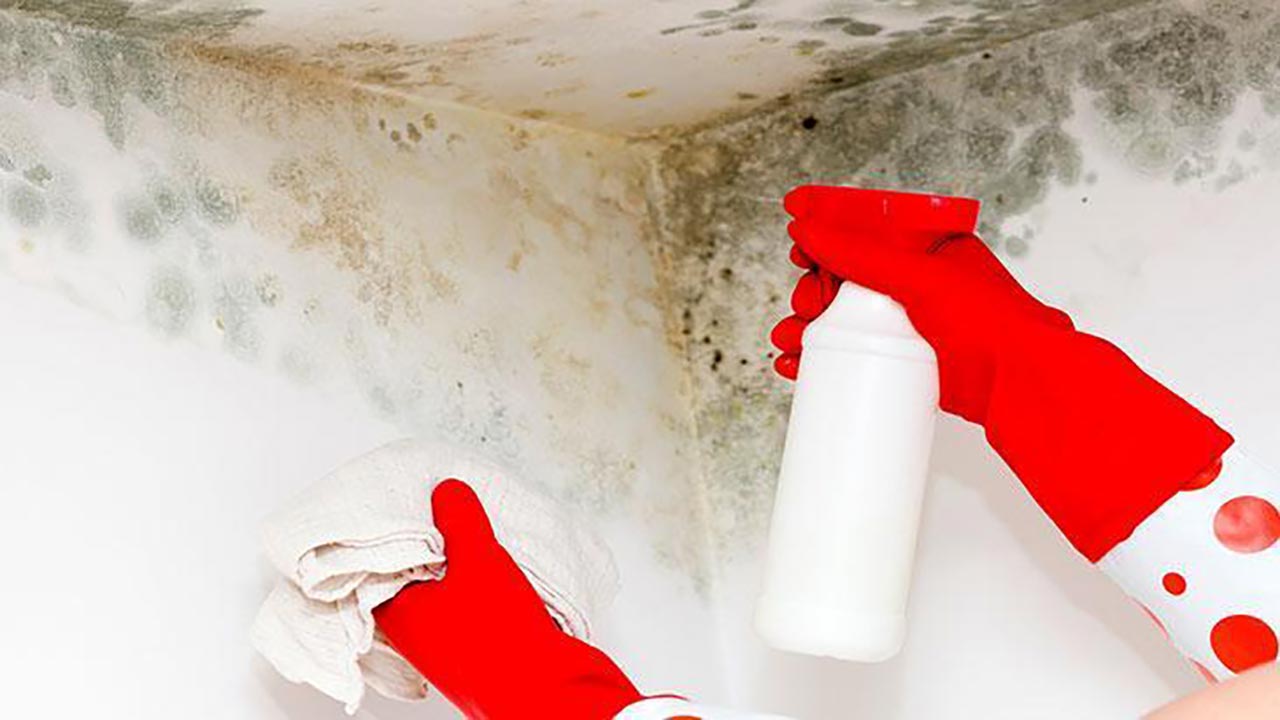 Foto - Küf ve rutubet evinizi istila mı etti? İşte duvarlardaki kabusu yok edecek karışım!