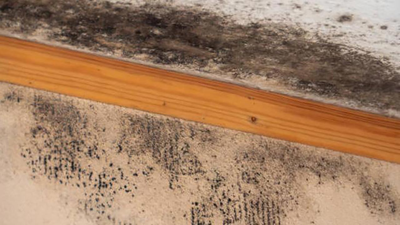 Foto - Küf ve rutubet evinizi istila mı etti? İşte duvarlardaki kabusu yok edecek karışım!