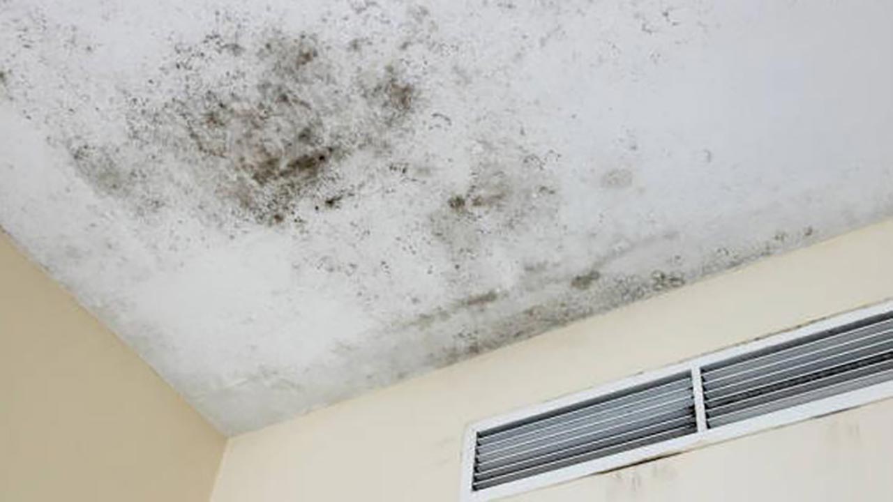 Foto - Küf ve rutubet evinizi istila mı etti? İşte duvarlardaki kabusu yok edecek karışım!