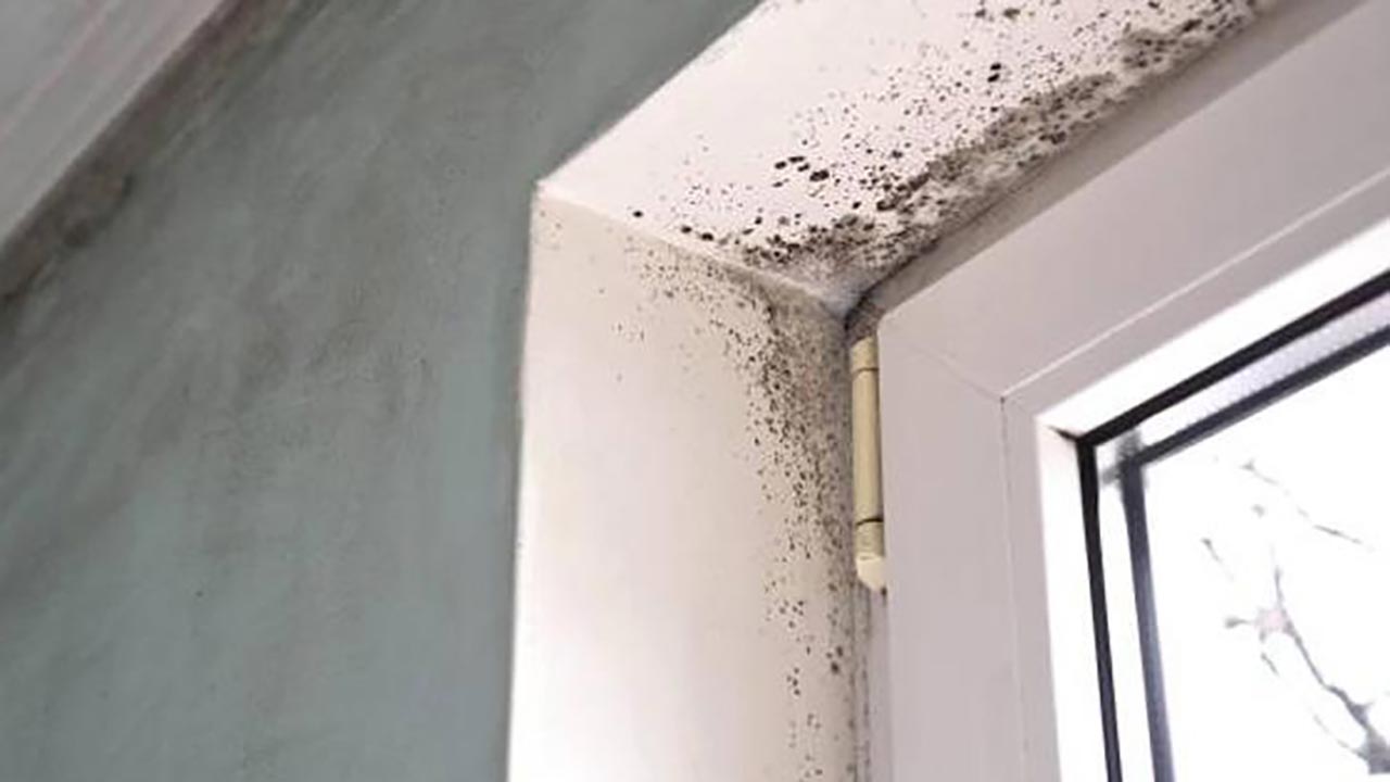 Foto - Küf ve rutubet evinizi istila mı etti? İşte duvarlardaki kabusu yok edecek karışım!