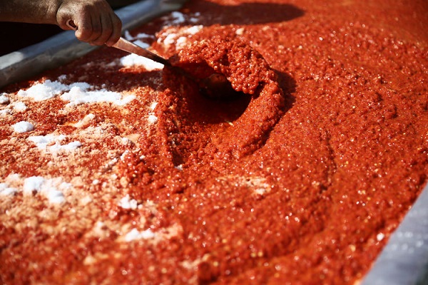 Foto - Küflenme derdine son! Aylarca taze domates salçası yemenin sırrı