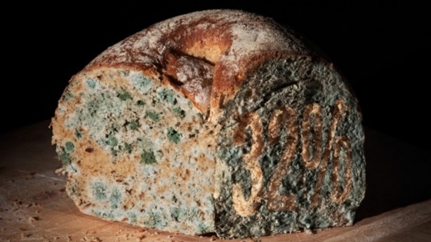 Foto - Küflenmiş ekmek kanser yapıyor!