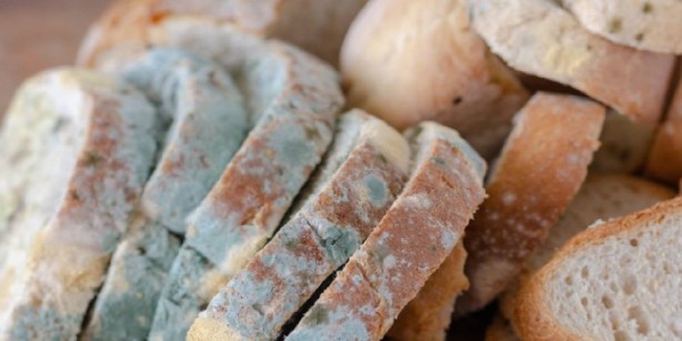 Foto - Küflü ekmeklere artık son! İçerisine bir tane atan, bir hafta tazecik yiyor! Herkes yeni alınmış zannediyor! Şok bilgi ortaya çıktı