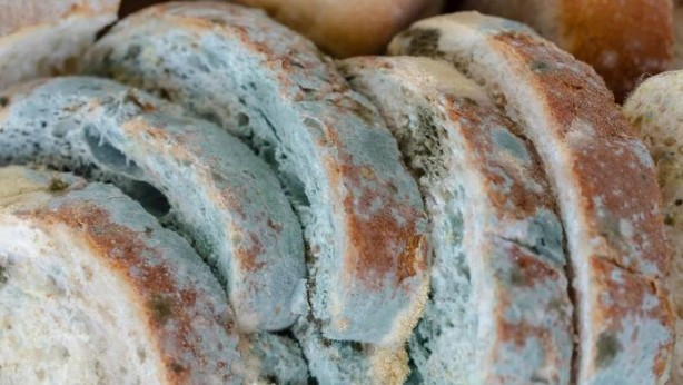 Küflü yiyecekler tüketilir mi? Bunu yapanlar dikkat