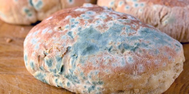 Foto - Küflü yiyecekler tüketilir mi? Bunu yapanlar dikkat