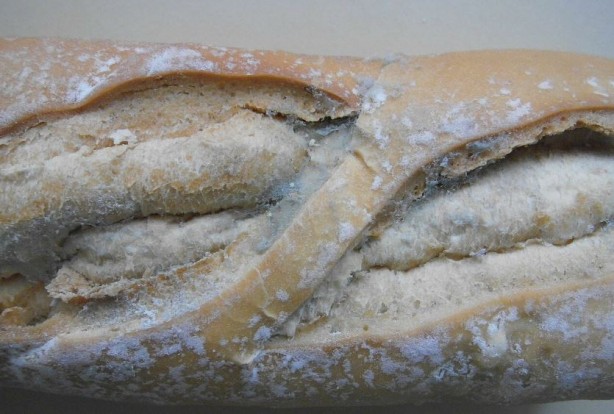 Foto - Küflü yiyecekler tüketilir mi? Bunu yapanlar dikkat