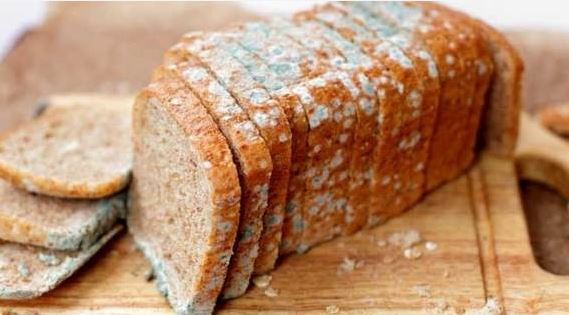 Foto - Küflü yiyecekler tüketilir mi? Bunu yapanlar dikkat