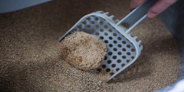 Foto - Küfü, rutubeti temizleme yöntemleri