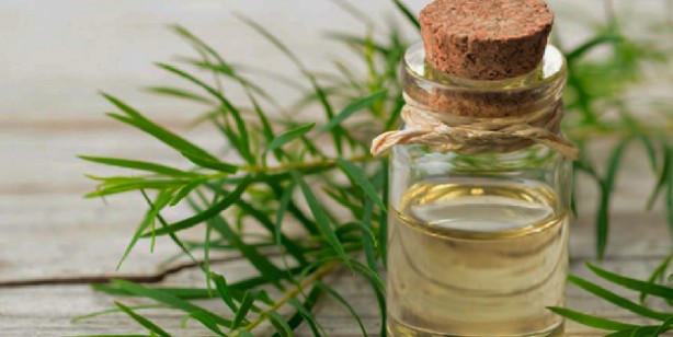 Foto - Küfü, rutubeti temizleme yöntemleri