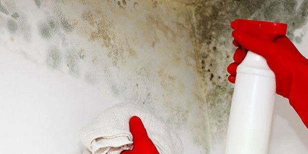  Küfü, rutubeti temizleme yöntemleri