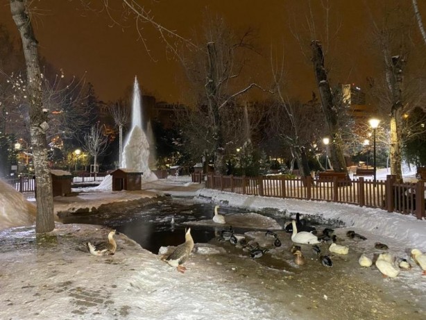 Foto - Kuğulu Park’ta harika görüntü