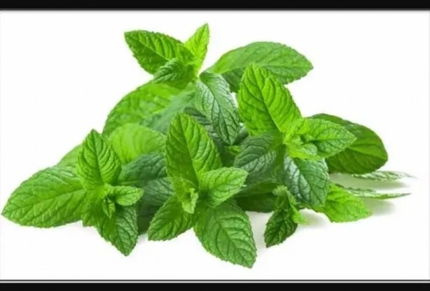 Foto - Kulağınıza sarımsak sokup bekletirseniz bakın ne olur