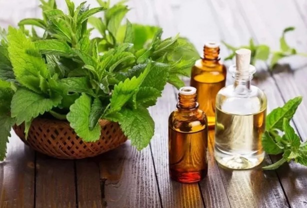 Foto - Kulağınıza sarımsak sokup bekletirseniz bakın ne olur