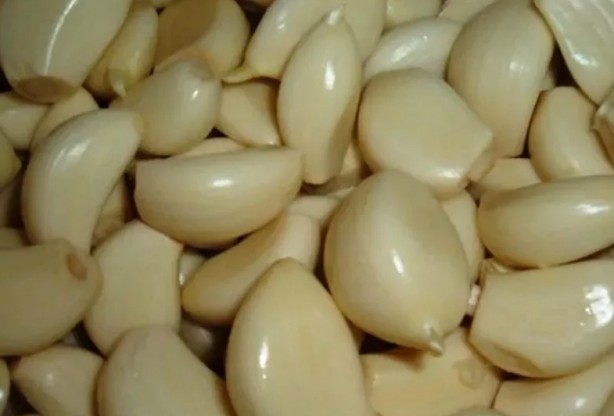 Foto - Kulağınıza sarımsak sokup bekletirseniz bakın ne olur