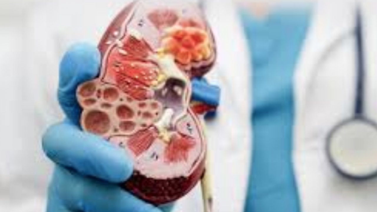 Kulak verilmeli bu detaya: İhmal edilen 'endometriozis' kadınlarda nefes darlığı ile böbrek sorunlarına neden olabiliyor