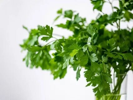 Foto - Kulaklarınıza inanamayacaksınız! Bu çay kilo verme hızını 2 katına çıkarıyor