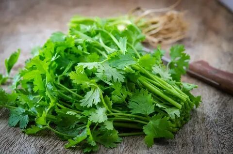 Foto - Kulaklarınıza inanamayacaksınız! Bu çay kilo verme hızını 2 katına çıkarıyor