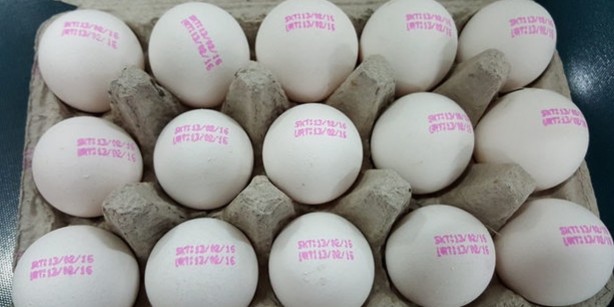 Kullanılan ilaçları mı gösteriyor? Yumurtaların üstündeki kodlara dikkat!