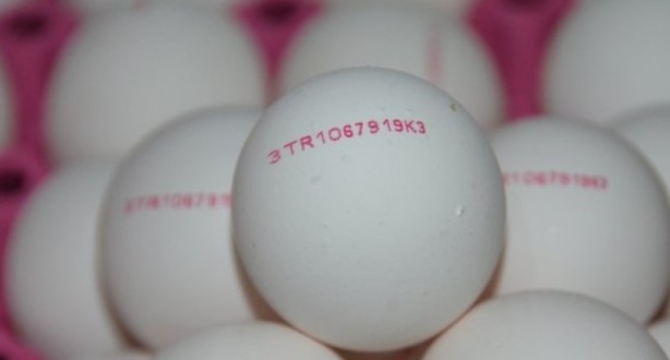 Foto - Kullanılan ilaçları mı gösteriyor? Yumurtaların üstündeki kodlara dikkat!
