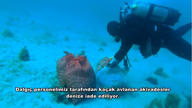 Kum midyesi avlayan 6 kişiye büyük şok