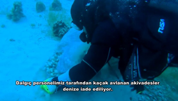 Foto - Kum midyesi avlayan 6 kişiye büyük şok
