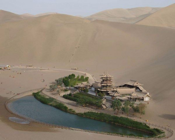 Foto - Kumlar altında kalmak üzere olan vaha kurtarıldı